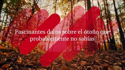 Fascinantes datos sobre el otoño que probablemente no sabías