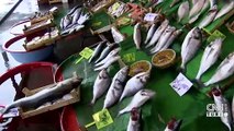Son Dakika Haberi: Balık tezgahlarında son durum | Video