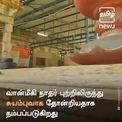 The Arulmigu Thiyaagaraaja Swamy Temple Of Thiruvarur