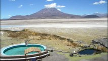 Localizan en Chile una especie de rana que consideraban desaparecida desde hace 80 años