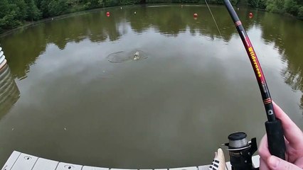 Evening Crappie Fest. Slab City!