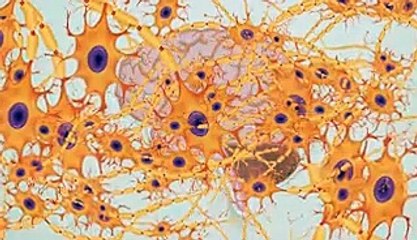 What needs to happen before we can upload our brains to a computer