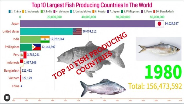 Top 10 Largest Fish Producing Countries In The World