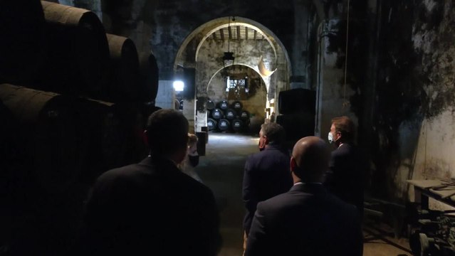 Andalucía exportó vinos por valor de 36 millones el primer semestre