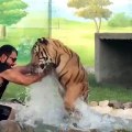 A man wrestling with a wild tiger saw who conquers and wins