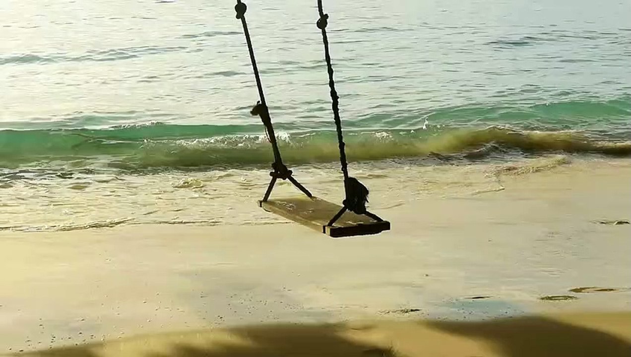 A rope swing and the beach waves natural beautiful royalty Free Stock no copyright video Free for commercial use dron dron aerial view