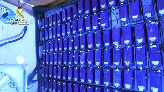 Desmantelada una plantación de marihuana en una nave de Huelva