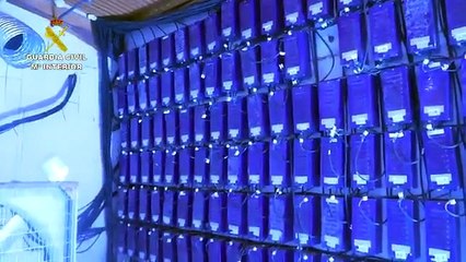 Desmantelada una plantación de marihuana en una nave de Huelva