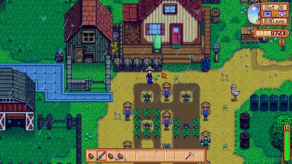 Stardew Valley: My farm 