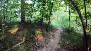 Virtual Hike - Oak Trail