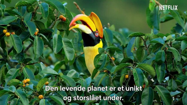 David Attenborough Et liv på vores klode Film