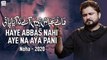 Nohay 2020 - Haye Abbas Nahi Aye Na Aya Pani - Syed Raza Abbas Zaidi - Noha 2020 - Mola Abbas Noha