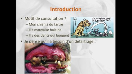 Conférence-1