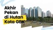 Hutan Kota GBK, Wisata Alternatif Warga Jakarta di Akhir Pekan
