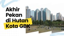 Hutan Kota GBK, Wisata Alternatif Warga Jakarta di Akhir Pekan