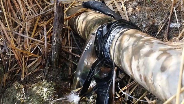 Kuruyan gölette balıklara 'can' suyu verildi - EDİRNE