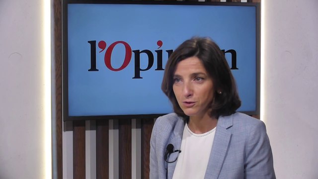 Nathalie Elimas: «LREM connaît des dysfonctionnements propres aux jeunes partis»