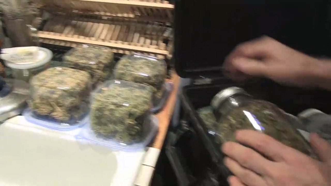 CANNABIS TO SAVE MY LIFE (V.O)