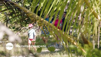 Polynésie Française : L'atoll de Tetiaroa