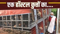 70 साल की गरीब महिला संचालित करती हैं कुत्तों का फ्री हॉस्टल