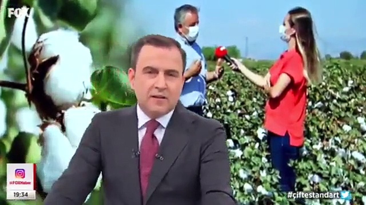 Selçuk Tepeli'nin 'yerli-milli' yorumu gündem oldu: Burası plaj değil, tarla yanığı!