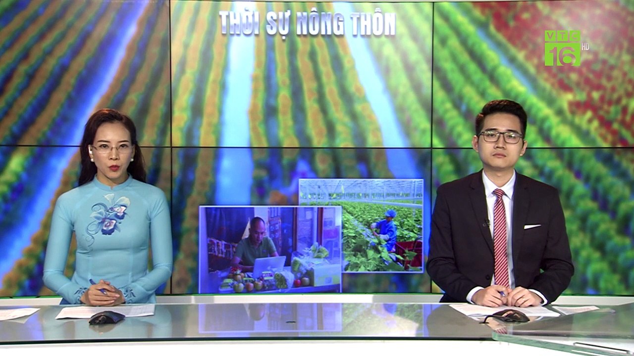 700 tấn tỏi Lý Sơn "mắc kẹt" vì Covid-19 | VTC16