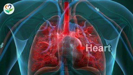 How to improve your heart and lung functioning with these simple exercises  (1)
