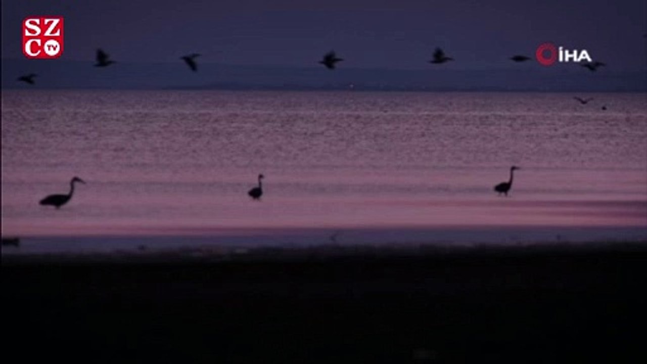 Kuş Cenneti'nde kartpostallık görüntüler