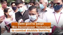 Delhi govt to adopt ‘Bio Decomposer Technique’ to combat stubble burning