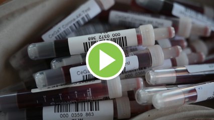 El coronavirus suma más de 31 millones de casos en todo el mundo