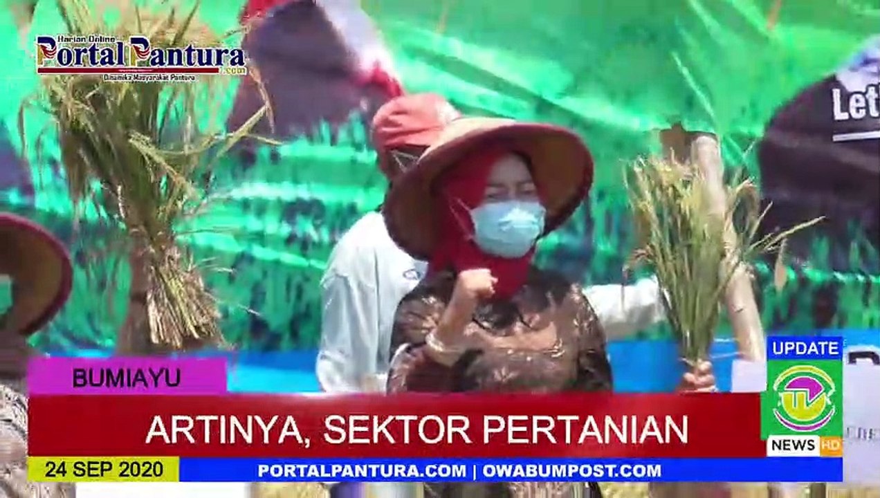 Dimasa Pandemi Covid-19, Pertanian di Brebes Justru Alami Pertumbuhan