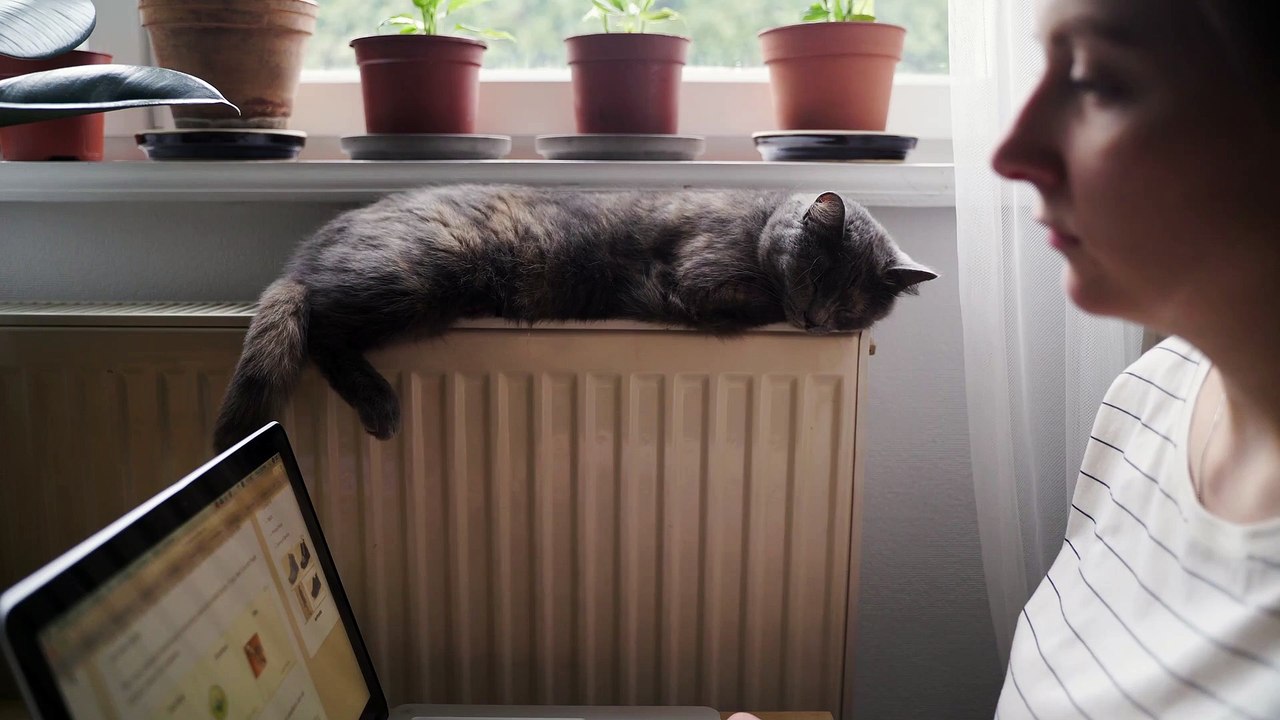 sweet cat :)