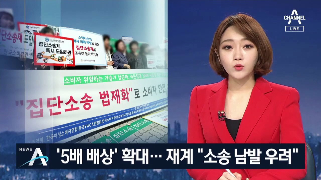 징벌적 손해배상제 ‘5배 배상’ 확대…재계 “소송 남발 우려”