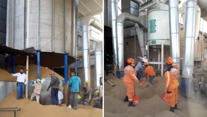 Tras quedar sepultados bajo más de 100 toneladas de arroz, cinco personas murieron en Meta