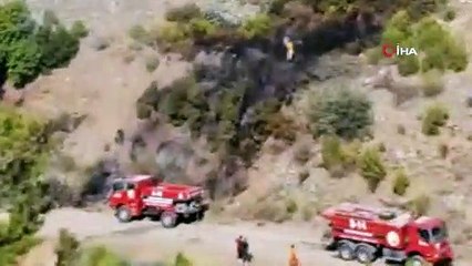Hatay'da 4 noktada ormanı yakan şahıs suçüstü yakalandı