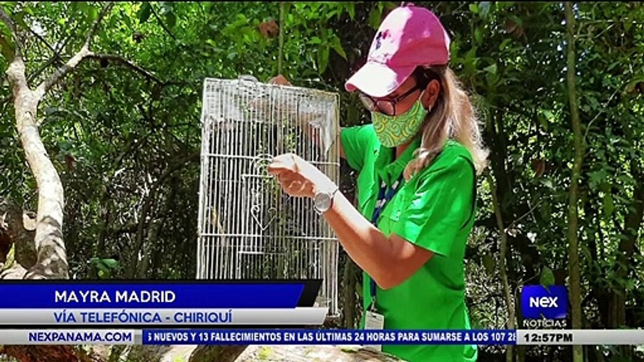 Denuncian en redes un zoológico ilegal en Chiriquí - Nex Noticias