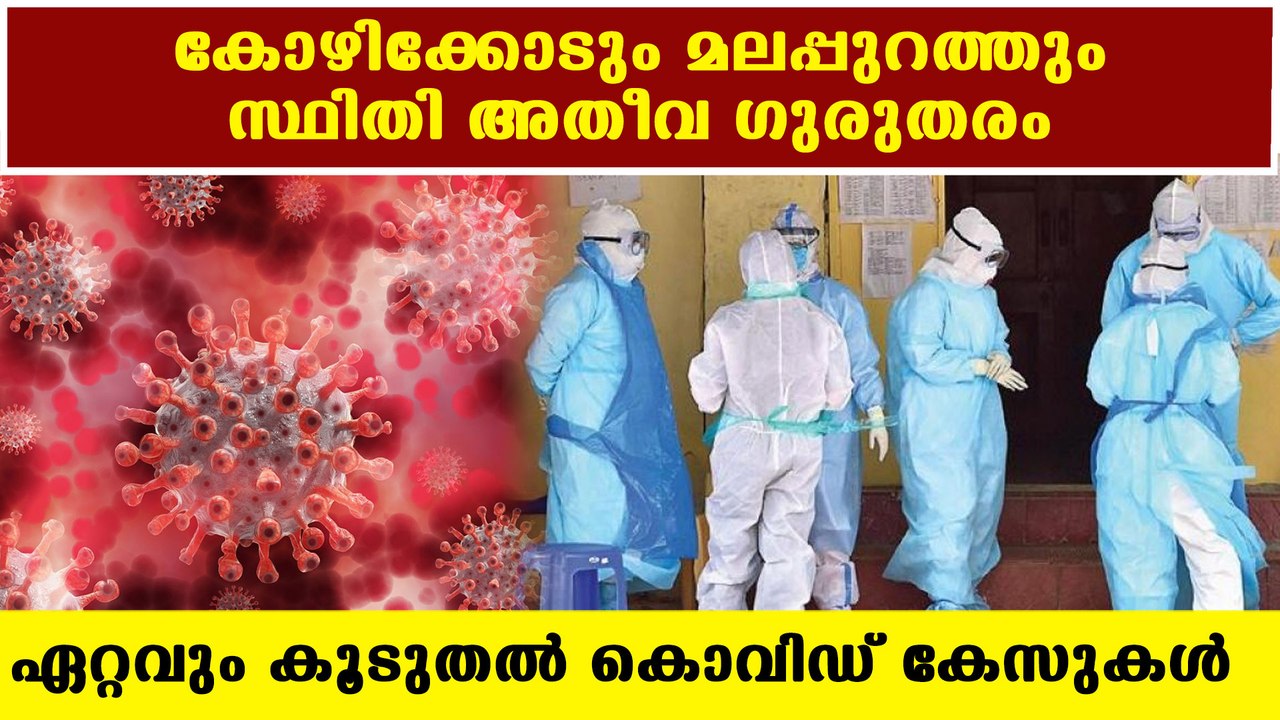 Kozhikode has the highest cases in kerala | One...