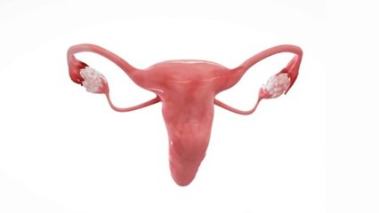 hablamos-sobre-cancer-de-ovarios-240920