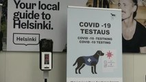 Proyecto piloto con 15 perros que detectan el coronavirus en el aeropuerto de Helsinki