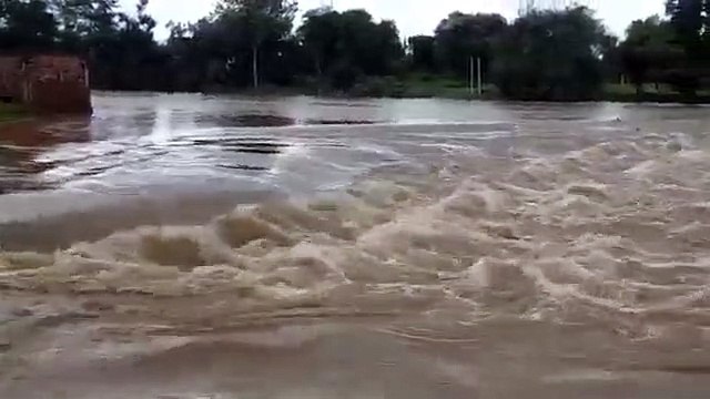 चीलर नदी उफान पर, बिजना मार्ग बंद