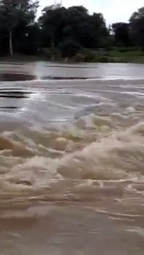 उफनता नाला पर करते समय बहा युवक