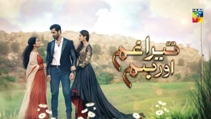 Tera Ghum Aur Hum Episode 26 HUM TV Drama 24 September 2020