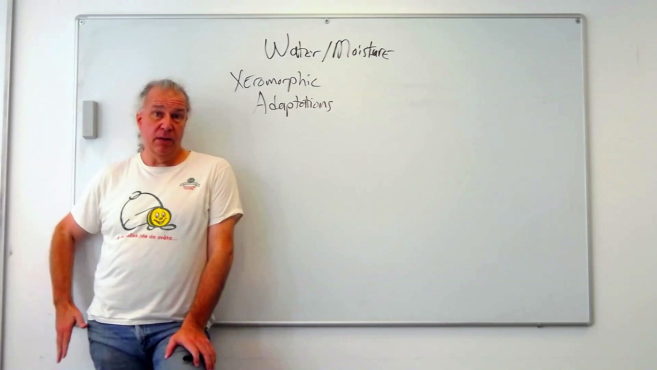 Fundamentals of Ecology 8: Species Range II