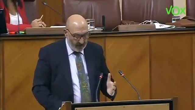 Vox deja KO a los progres del PSOE y Adelante Andalucía: Sois intrascendentes, sois irrelevantes