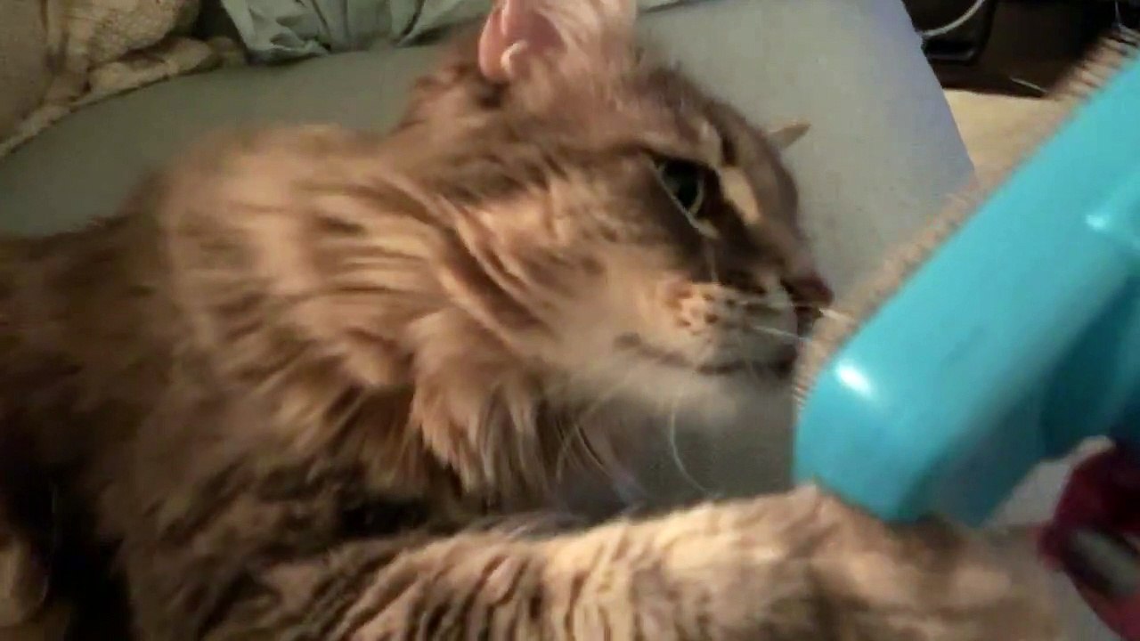 Wait a second - that’s not a toothbrush!