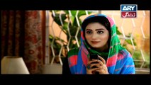 Bubbly Kya Chahti Hai Episode 117 & 118 - ARY Zindagi Drama