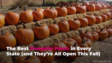 The Best Pumpkin Patch in Every State (and They’re All Open This Fall)