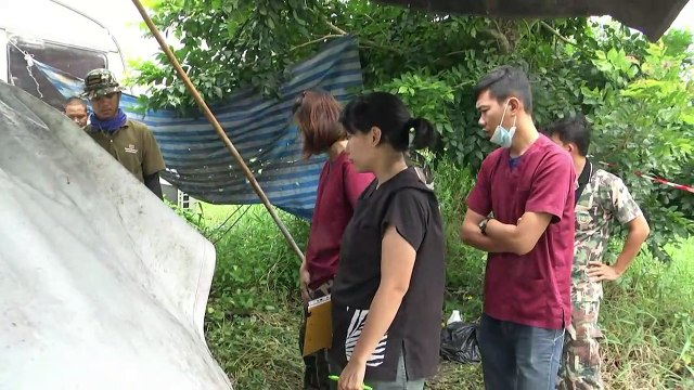 Vets examine elephant found electrocuted by fence in Thailand
