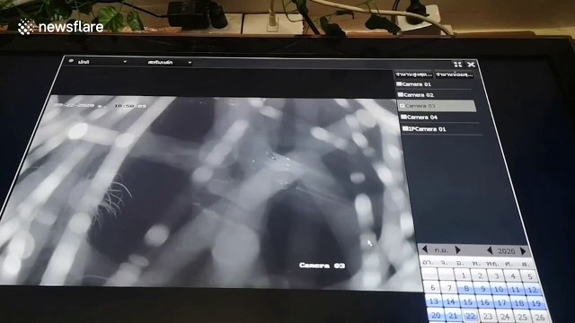 Heartbreaking moment woman abandons baby boy on park bench