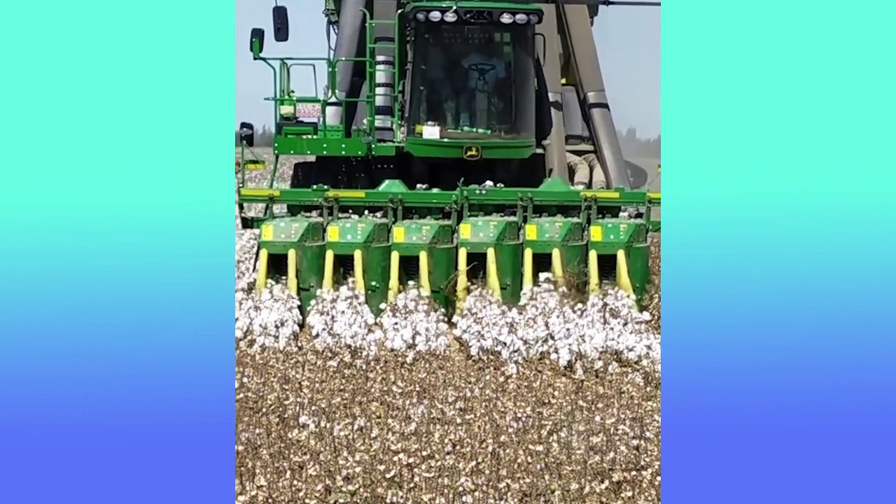 Oddly Satisfying Video   Relaxing Scenes & Calming Music You Will Enjoy